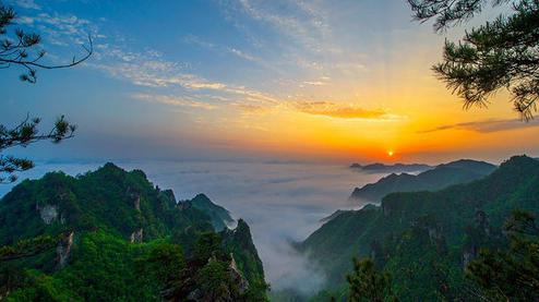 張家界森林公園（金鞭溪、袁家界、楊家界、天子山、十里畫廊）住山上2天1游（可看日出）